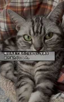 【修羅場】「一生を懸けて償いますのでどうか別れないでください…」浮気をし有頂天だった嫁の人生は儚く散り転落した…【スカッと】