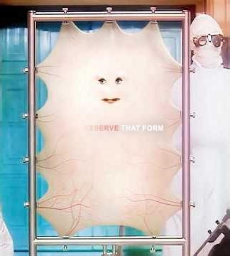 Eight Hundred Surgeries Later, She Became a Queen of Skin 🩸👑#horror #shorts #movie