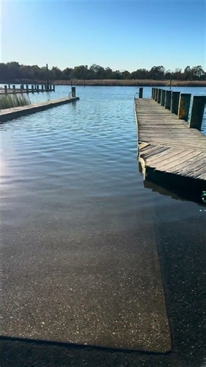 High Tides on the Shore Today