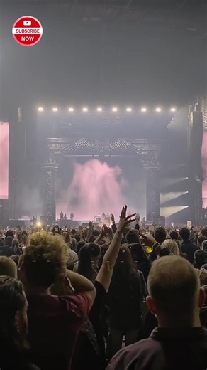 Wild energy! That pink and butterfly vibe live. Pure YUNGBLUD chaos. #Yungblud #LiveMusic #ConcertVibes #PinkAesthetic #Performance