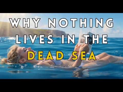 Why the Dead Sea Is So Salty