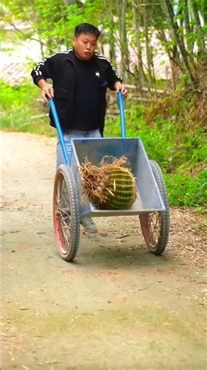 Survival Skills: SIMPLE and USEFULL #bushcraft #camping #outdoor #cookingvideo
