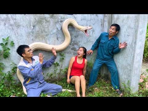 SHOCKING Giant SNAKE White Attack Old Solder