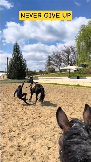 Showjumping lesson fail