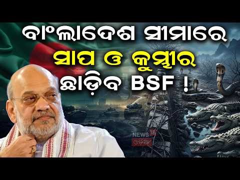 ବାଂଲଦେଶ ସୀମାରେ...Snakes & Crocodiles on India–Bangladesh Border | Wildlife Threats & Encounters|N18G