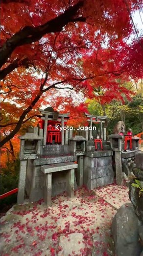 Fall Foliage Spots To Visit This Season