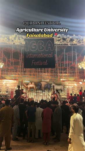 Qurbani Festival at Agriculture University Faisalabad 2026