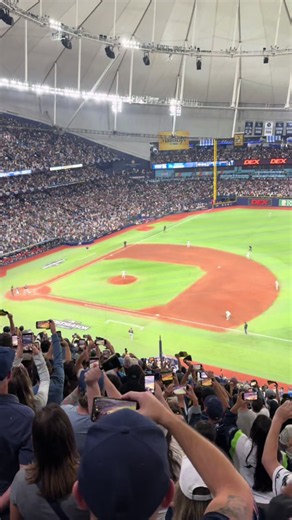 Rays World Series Bound: ALCS Victory Highlights
