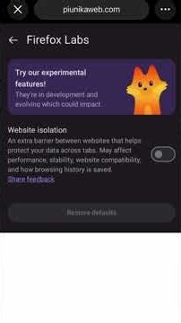 'Website Isolation' hits Firefox on Android Labs