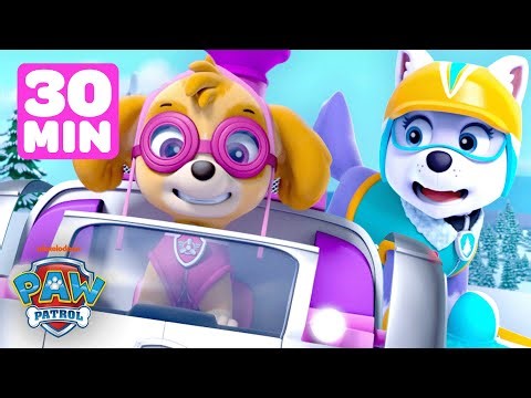 PAW Patrol Skye Winter Rescues! ❄️ w/ Everest | 30 Minutes | Shimmer and Shine