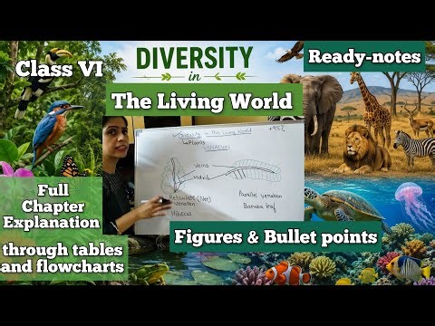 Exam Ready notes Full Chapter | Diversity in the Living World | Class 6 Science