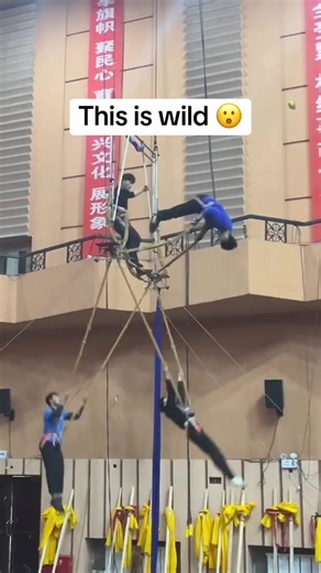 Incredible Circus Flips and Teamwork