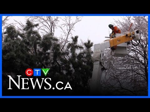 Damage after ice storm in London, Ont.