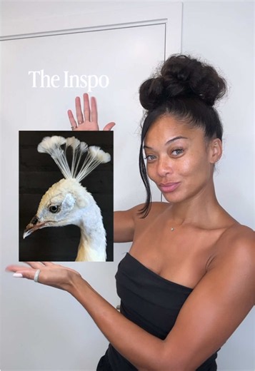 Muse-inspired Peacock Hairstyle — Hercules Muse Hairinspo