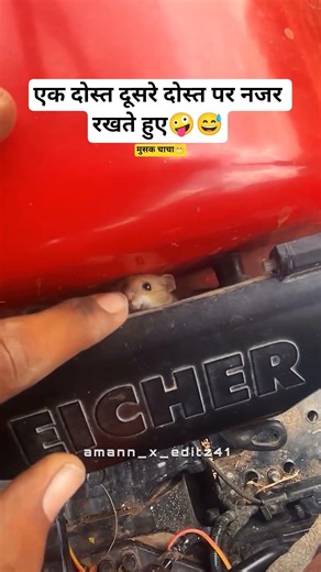 यह भाई तो खेत में काम करने के लिए गया था लेकिन इसके साथ साथ मूषक चाचा भी चले गए 🤣😀😂😃😅😄😆😁😭 #funny