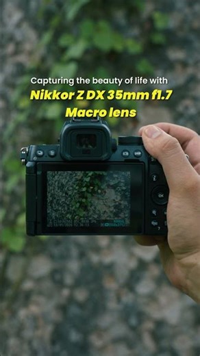 Capturing Life with Nikkor Z Dx 35mm f1.7 Macro lens by Nikon | Expore the world through your vision