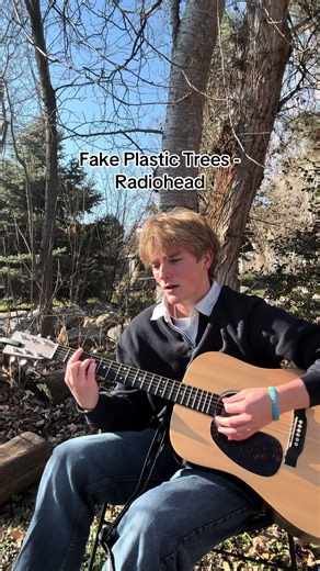 Exploring Real vs. Fake Plastic Trees in Music