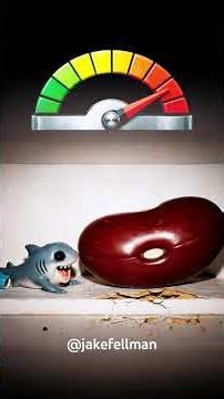 Tralalerito Collects Every Size (beans edition)