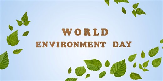 World Environment Day theme points to nature as key to planet's future - The Weather Network