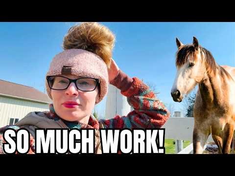 This Day With The Horses Was ABSOLUTELY CRAZY!