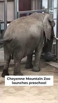 Preschool at Colorado zoo: Little paws program