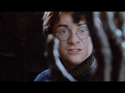 Harry Gets Lost in Knockturn Alley | Full Scene | Harry Potter and the Chamber of Secrets