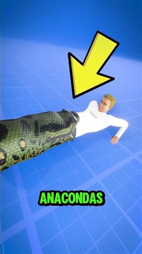 What Happens If an Anaconda Eats You? 🤔