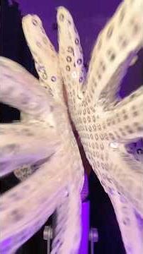 ASMR hand movements w magic gloves 🪄✨ #asmr #asmrsounds #asmrvideo #sleep #tingles