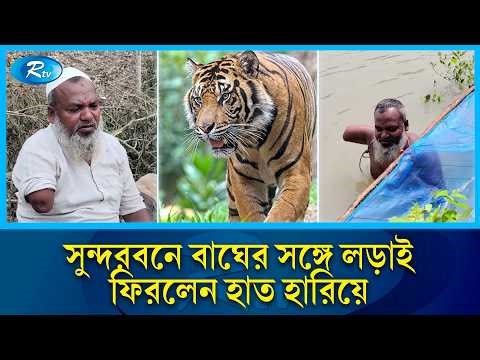 বাঘের সঙ্গে লড়াই করে বাঁচলেন, হারালেন একটি হাত | Tiger Attack Survivor | Sundarbans | Rtv News