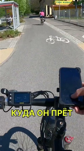Вылетел передо мной