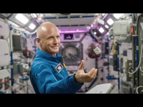 Alien on ISS?! 😱 Space Potato Shock #NASA #ISS #Space #Aliens #Science #Shorts