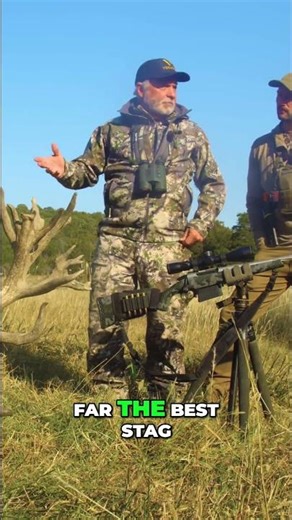 Epic Stag Hunt: Unbelievable Shot & World-Class Trophy at Venator USA! #shorts
