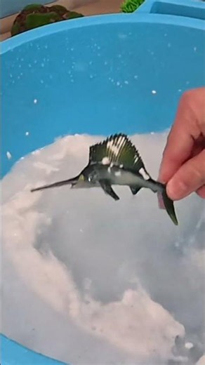 Blue Marlin 💨 The fastest fish in the ocean?!