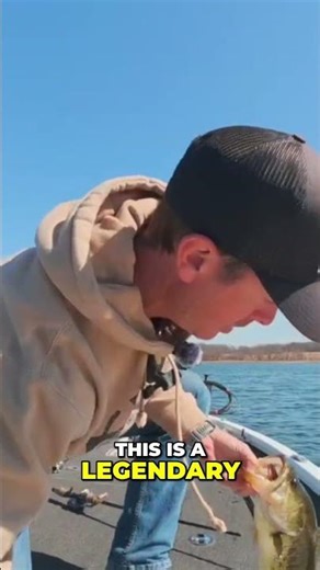 Legendary Bass Bite: Spinnerbait vs. Lipless Bait Strategy! #shorts