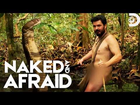 Face-to-Face with a King Cobra | Naked and Afraid | Discovery