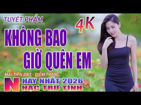 Không Bao Giờ Quên Anh, Thành Phố Buồn🛑 Nhạc Trữ Tình Hay Nhất 2026 - Lk Bolero Nhạc Vàng Xưa Bất Hủ