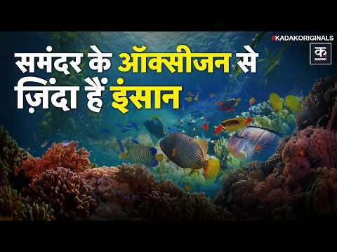 Ocean Secrets : Earth’s Biggest Oxygen Factory Isn’t a Forest! | What Lies Under Sea Water? | NASA