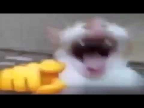 Memes that will 🫵😂