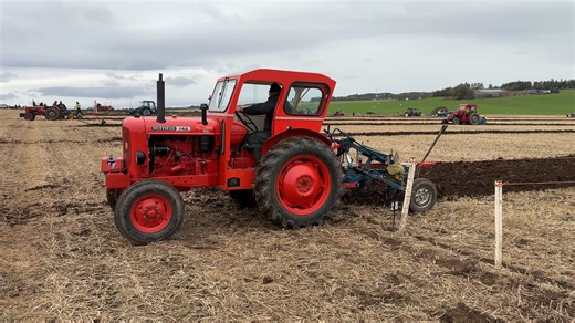Nuffield 342 tractor at the Scottish Ploughing Championships 2025 #nuffield #ploughingmatch #scottishploughingchampionships | The Farming Enthusiast