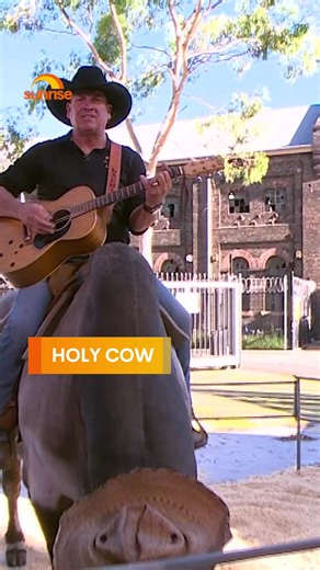 Ever seen a bull in a hat before? Us neither Thrilled to have Benson the Brahman Bull and Lachie Crosser join us at Brekky Central ahead of The National Rodeo co. Stampede Series ☀️Catch Sunrise LIVE from 0530am l Catch up on @7plus #bull #benson #rodeo #sunrise