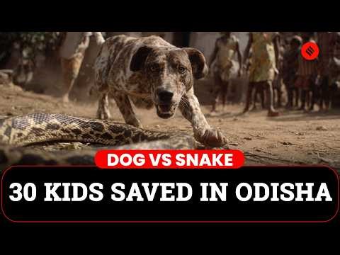Odisha: Dog Saves 30 Children From Snake Attack | Odisha Dog News