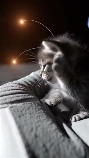 WE FOUND LIFE ON THE MOON?! 🐈‍⬛🚀