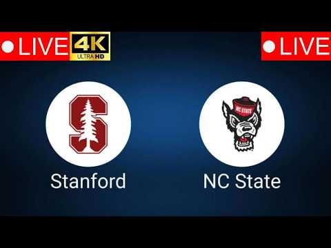 UConn vs Massachusetts LIVE 4K | NCAAF 2026 | College Football Week 8