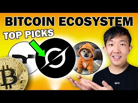 What is GRO24Z? How to Buy Elon Musk's New Crypto Token (2026)