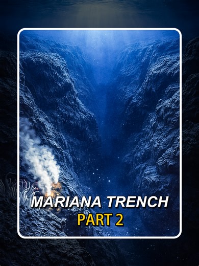 Exploring the Creatures of the Mariana Trench