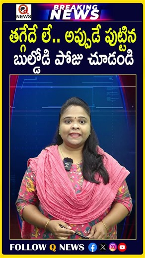 తగ్గేదే లే.. అప్పుడే పుట్టిన బుల్డోడి పోజు చూడండి #NewbornBaby #BabyAttitude #CuteBaby #BabySwag