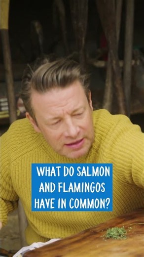 What Do Salmon & Flamingos Have In Common? 🦩🐟 #shorts