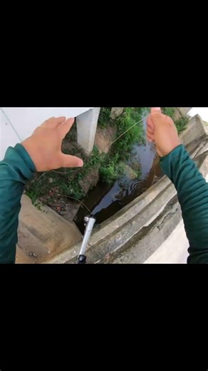 LONG-DISTANCE TILAPIA SHOT 🎯 | Tactical Air Crossbow Fishing in the City | CO2Brasil