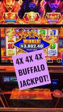 HUGE BUFFALO JACKPOT!