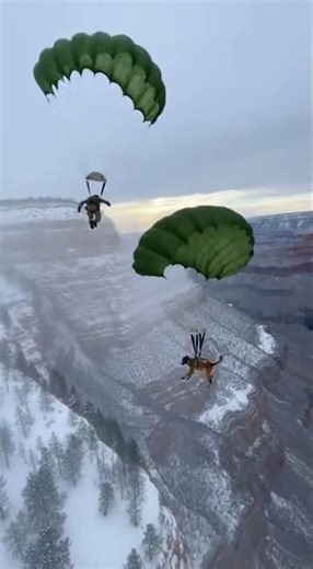 Military K9 Parachute Drop Over Snowy Canyon 🪂 #Shorts